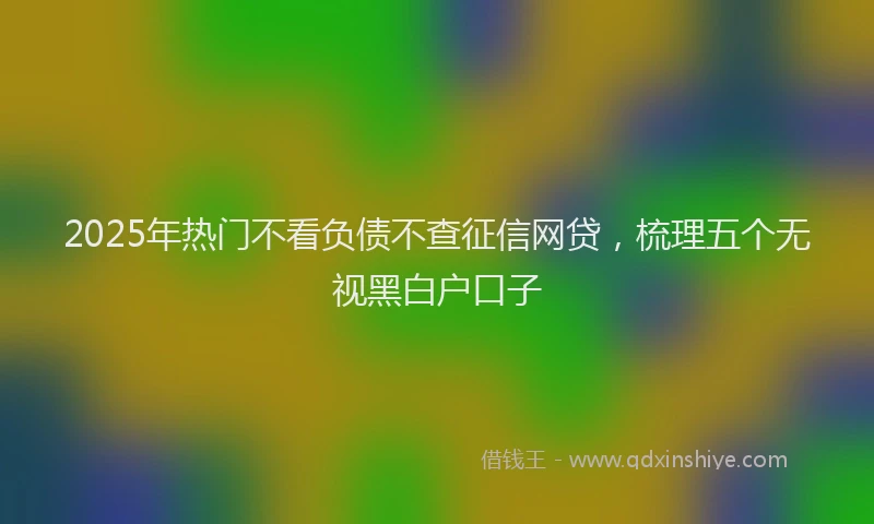 2025年热门不看负债不查征信网贷，梳理五个无视黑白户口子