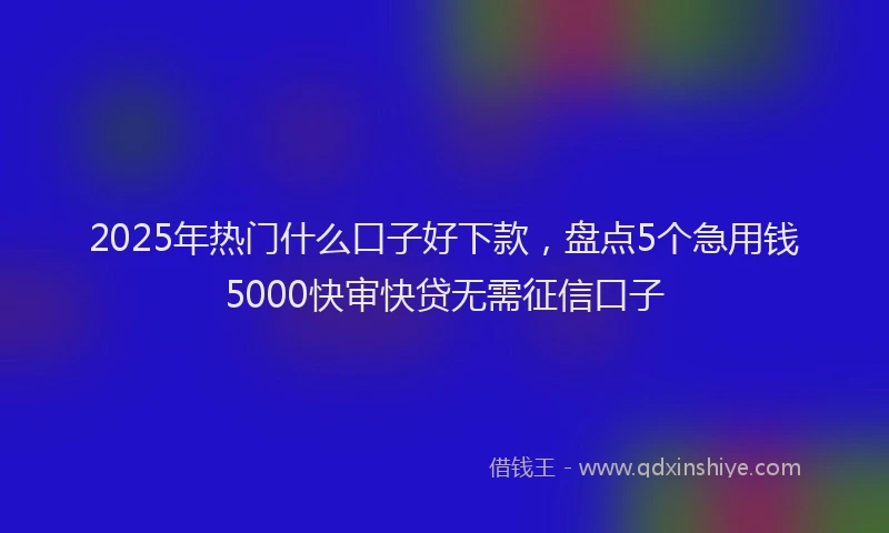 2025年热门什么口子好下款，盘点5个急用钱5000快审快贷无需征信口子
