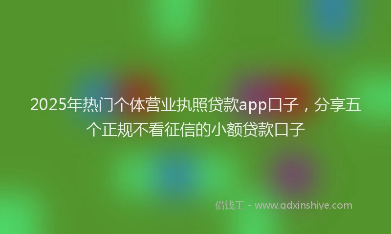2025年热门个体营业执照贷款app口子，分享五个正规不看征信的小额贷款口子