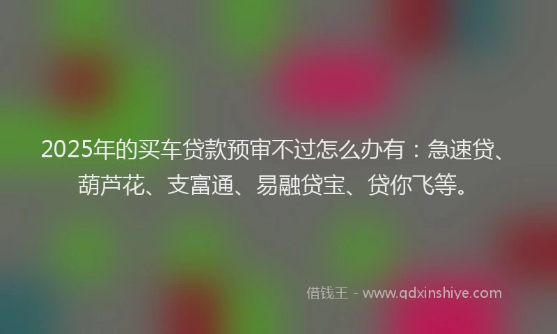 2025年的买车贷款预审不过怎么办有：急速贷、葫芦花、支富通、易融贷宝、贷你飞等。