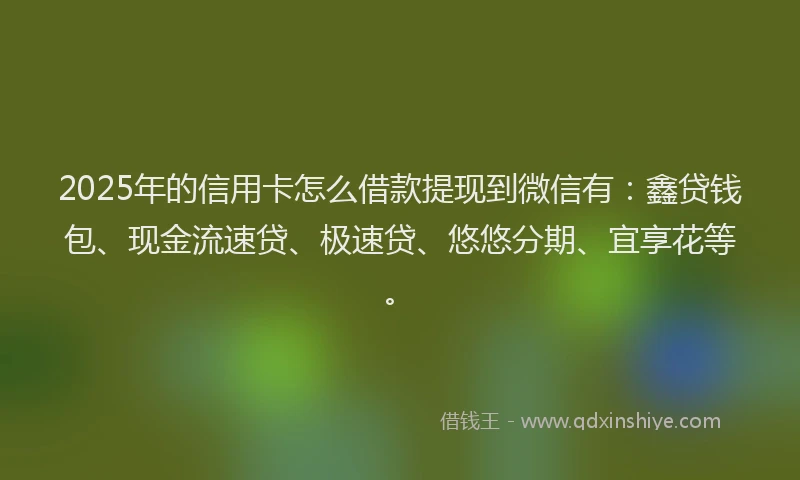 2025年的信用卡怎么借款提现到微信有：鑫贷钱包、现金流速贷、极速贷、悠悠分期、宜享花等。