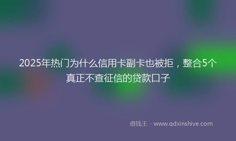 2025年热门为什么信用卡副卡也被拒，整合5个真正不查征信的贷款口子
