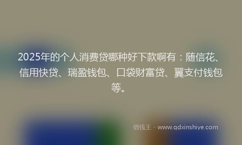 2025年的个人消费贷哪种好下款啊有：随信花、信用快贷、瑞盈钱包、口袋财富贷、翼支付钱包等。