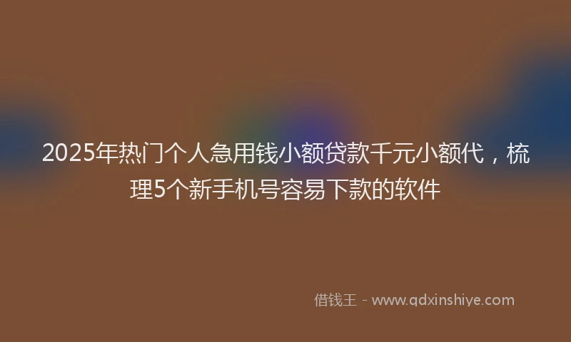 2025年热门个人急用钱小额贷款千元小额代，梳理5个新手机号容易下款的软件