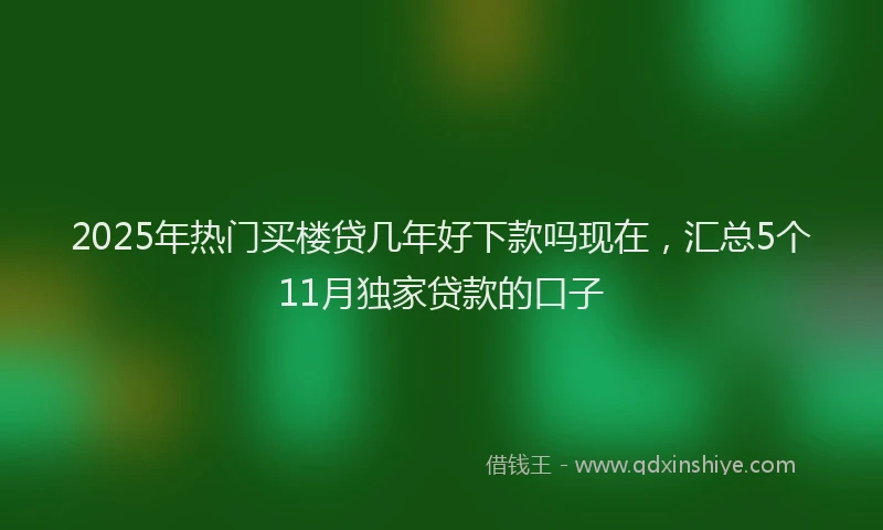 2025年热门买楼贷几年好下款吗现在，汇总5个11月独家贷款的口子