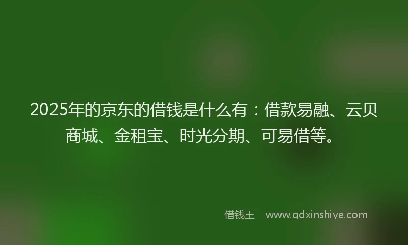 2025年的京东的借钱是什么有：借款易融、云贝商城、金租宝、时光分期、可易借等。