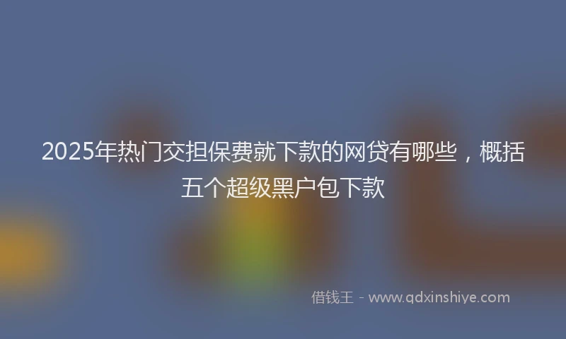 2025年热门交担保费就下款的网贷有哪些，概括五个超级黑户包下款