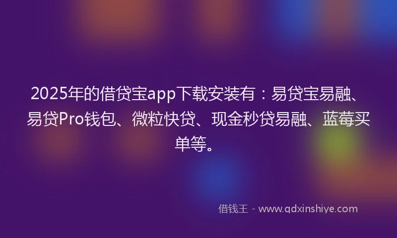 2025年的借贷宝app下载安装有：易贷宝易融、易贷Pro钱包、微粒快贷、现金秒贷易融、蓝莓买单等。