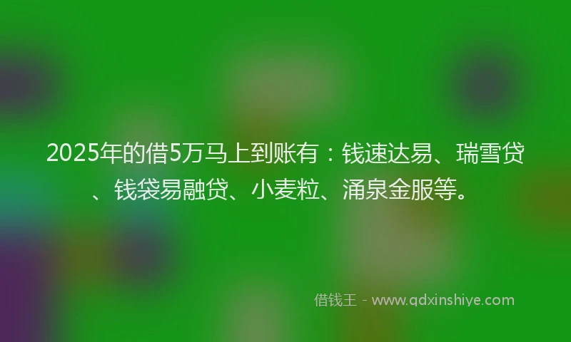 2025年的借5万马上到账有：钱速达易、瑞雪贷、钱袋易融贷、小麦粒、涌泉金服等。