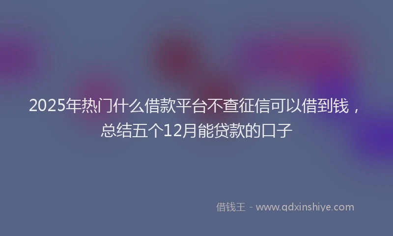 2025年热门什么借款平台不查征信可以借到钱，总结五个12月能贷款的口子