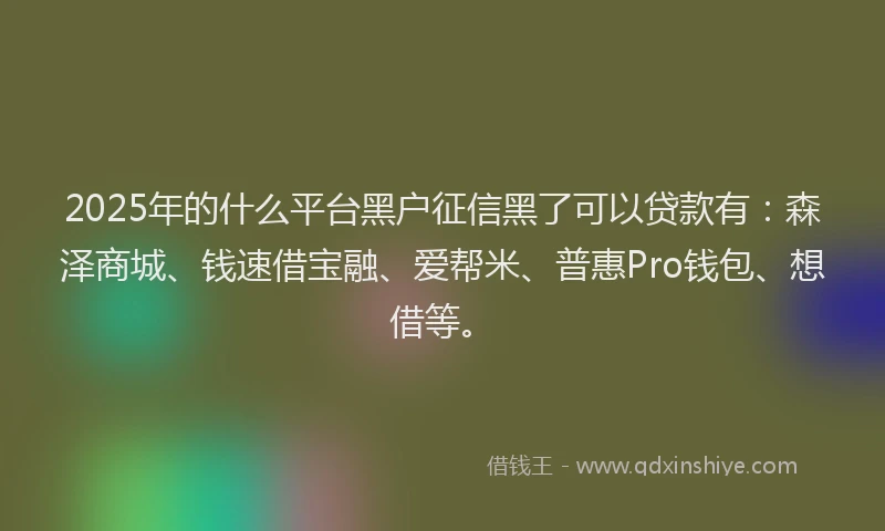 2025年的什么平台黑户征信黑了可以贷款有：森泽商城、钱速借宝融、爱帮米、普惠Pro钱包、想借等。