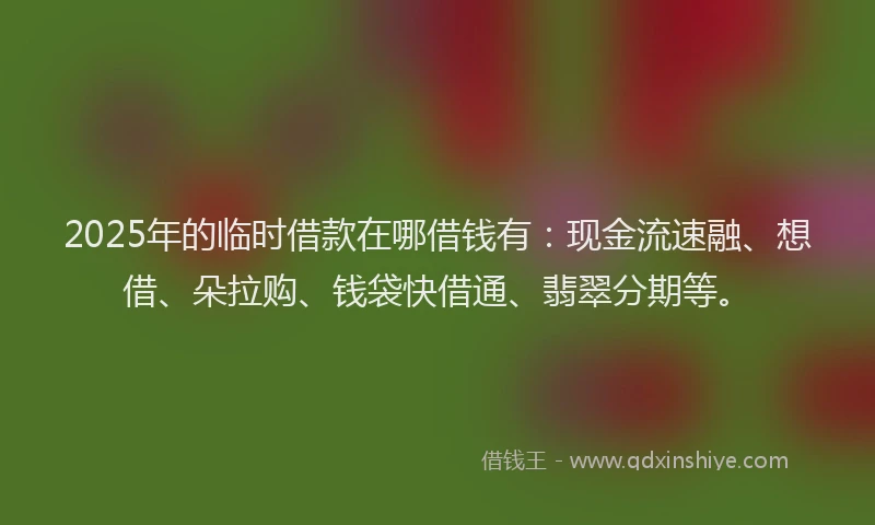 2025年的临时借款在哪借钱有：现金流速融、想借、朵拉购、钱袋快借通、翡翠分期等。