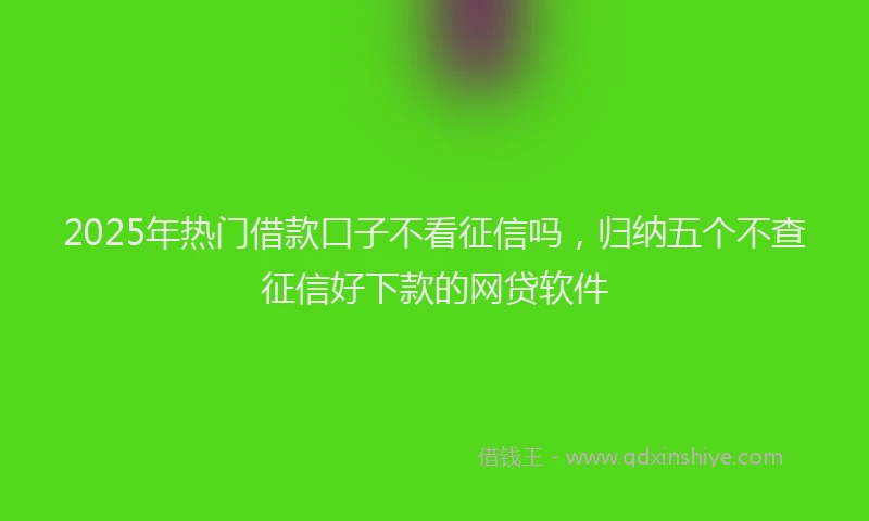 2025年热门借款口子不看征信吗，归纳五个不查征信好下款的网贷软件