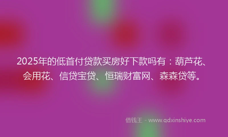 2025年的低首付贷款买房好下款吗有：葫芦花、会用花、信贷宝贷、恒瑞财富网、森森贷等。