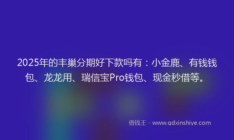 2025年的丰巢分期好下款吗有：小金鹿、有钱钱包、龙龙用、瑞信宝Pro钱包、现金秒借等。