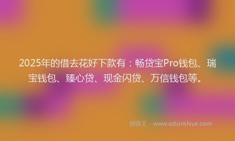 2025年的借去花好下款有：畅贷宝Pro钱包、瑞宝钱包、臻心贷、现金闪贷、万信钱包等。