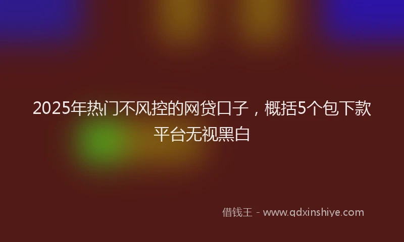 2025年热门不风控的网贷口子,概括5个包下款平台无视黑白