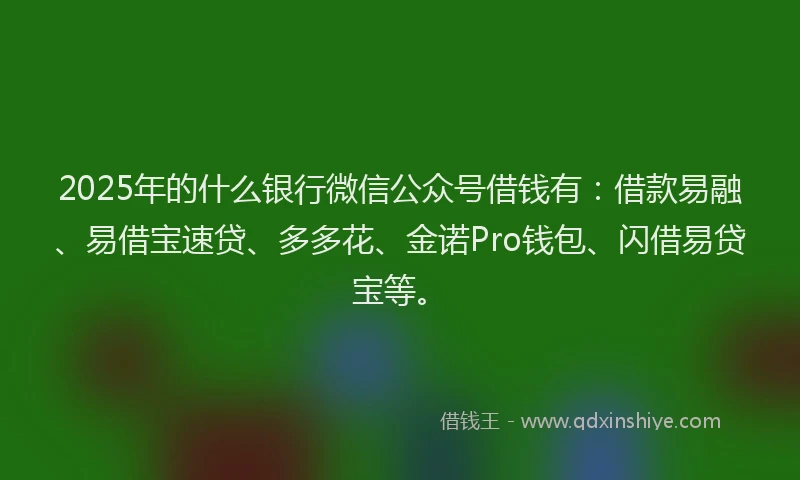 2025年的什么银行微信公众号借钱有：借款易融、易借宝速贷、多多花、金诺Pro钱包、闪借易贷宝等。