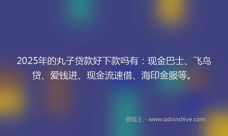 2025年的丸子贷款好下款吗有：现金巴士、飞鸟贷、爱钱进、现金流速借、海印金服等。
