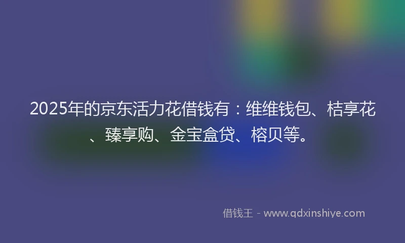2025年的京东活力花借钱有：维维钱包、桔享花、臻享购、金宝盒贷、榕贝等。