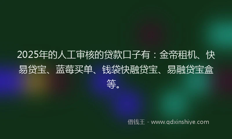 2025年的人工审核的贷款口子有：金帝租机、快易贷宝、蓝莓买单、钱袋快融贷宝、易融贷宝盒等。