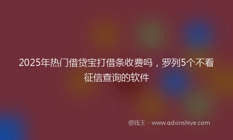 2025年热门借贷宝打借条收费吗，罗列5个不看征信查询的软件