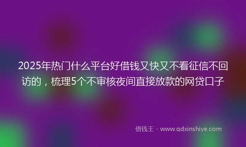 2025年热门什么平台好借钱又快又不看征信不回访的，梳理5个不审核夜间直接放款的网贷口子