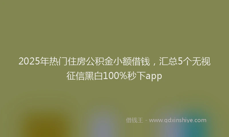 2025年热门住房公积金小额借钱，汇总5个无视征信黑白100%秒下app