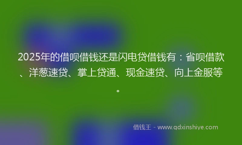 2025年的借呗借钱还是闪电贷借钱有：省呗借款、洋葱速贷、掌上贷通、现金速贷、向上金服等。