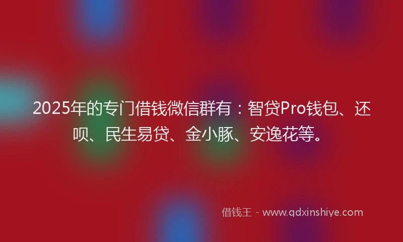 2025年的专门借钱微信群有：智贷Pro钱包、还呗、民生易贷、金小豚、安逸花等。
