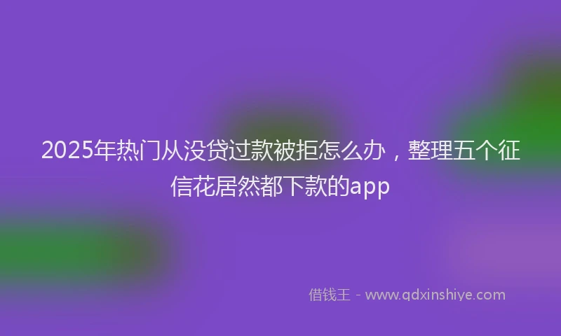 2025年热门从没贷过款被拒怎么办，整理五个征信花居然都下款的app