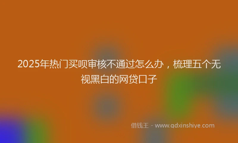 2025年热门买呗审核不通过怎么办，梳理五个无视黑白的网贷口子
