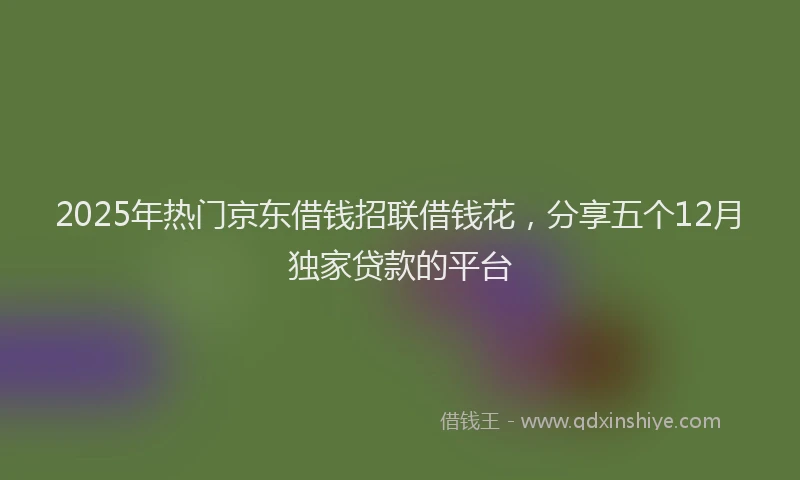 2025年热门京东借钱招联借钱花，分享五个12月独家贷款的平台