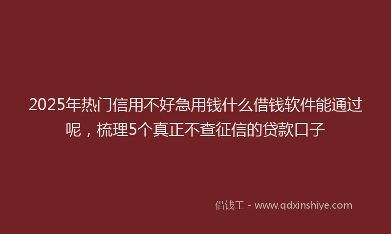 2025年热门信用不好急用钱什么借钱软件能通过呢，梳理5个真正不查征信的贷款口子