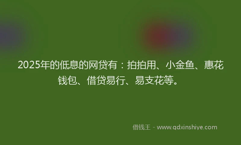 2025年的低息的网贷有：拍拍用、小金鱼、惠花钱包、借贷易行、易支花等。