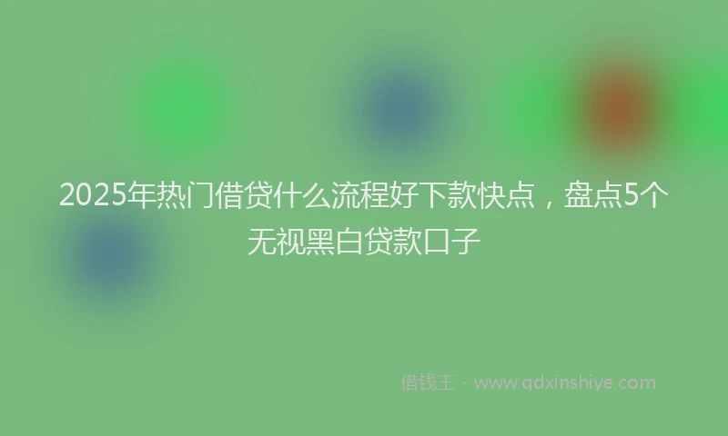 2025年热门借贷什么流程好下款快点，盘点5个无视黑白贷款口子
