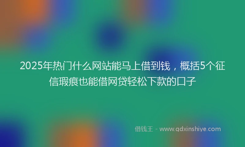 2025年热门什么网站能马上借到钱，概括5个征信瑕疵也能借网贷轻松下款的口子