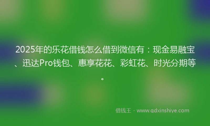 2025年的乐花借钱怎么借到微信有：现金易融宝、迅达Pro钱包、惠享花花、彩虹花、时光分期等。