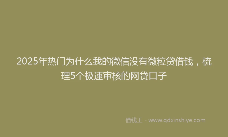 2025年热门为什么我的微信没有微粒贷借钱，梳理5个极速审核的网贷口子