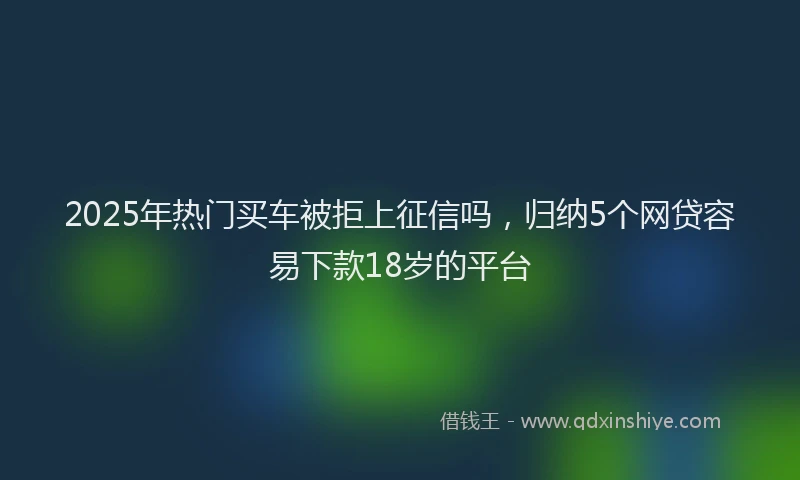 2025年热门买车被拒上征信吗，归纳5个网贷容易下款18岁的平台