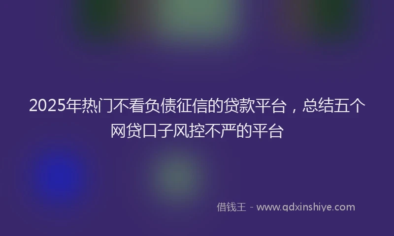 2025年热门不看负债征信的贷款平台，总结五个网贷口子风控不严的平台