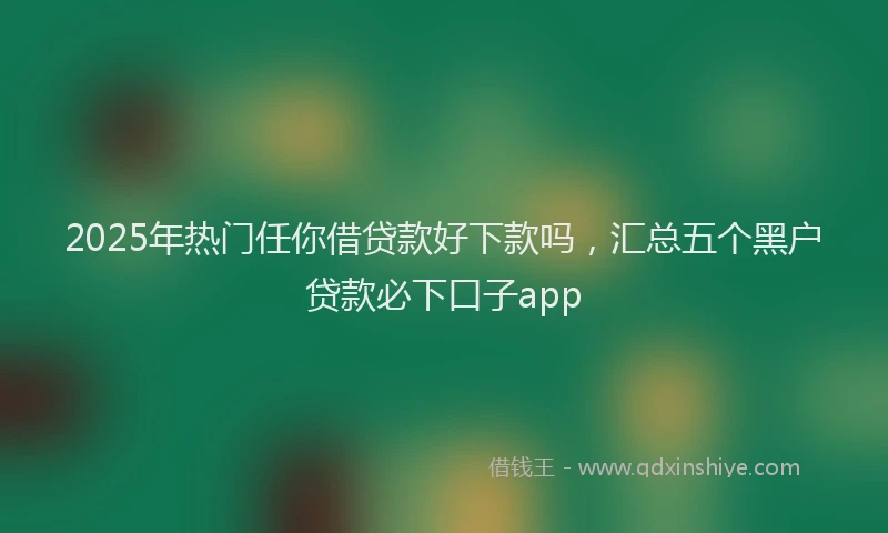 2025年热门任你借贷款好下款吗，汇总五个黑户贷款必下口子app