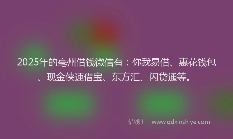 2025年的亳州借钱微信有：你我易借、惠花钱包、现金侠速借宝、东方汇、闪贷通等。