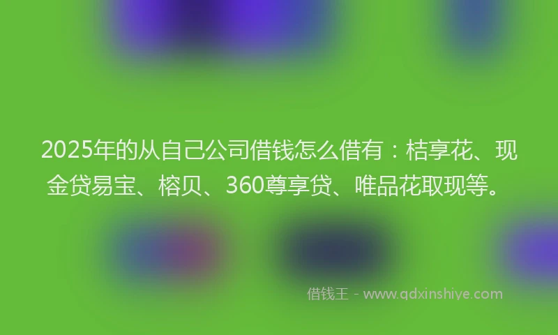 2025年的从自己公司借钱怎么借有：桔享花、现金贷易宝、榕贝、360尊享贷、唯品花取现等。