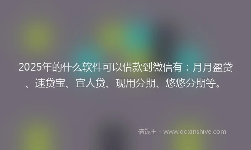 2025年的什么软件可以借款到微信有：月月盈贷、速贷宝、宜人贷、现用分期、悠悠分期等。