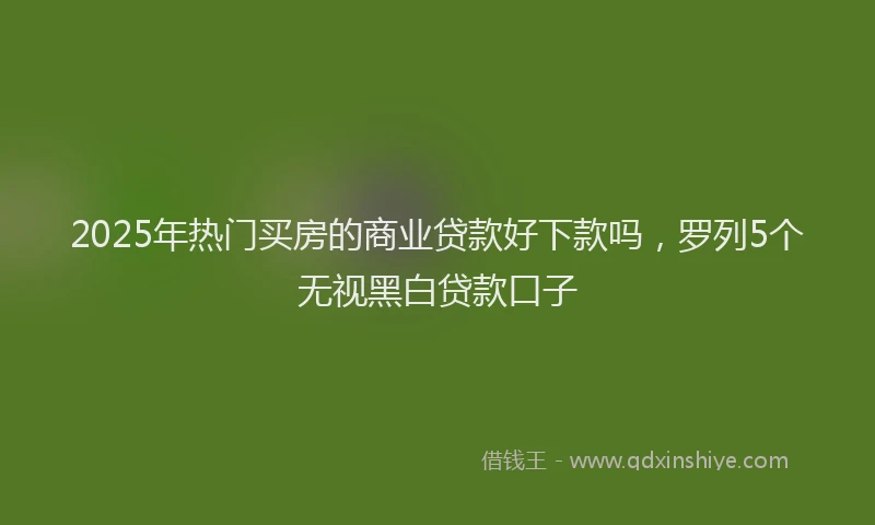 2025年热门买房的商业贷款好下款吗，罗列5个无视黑白贷款口子