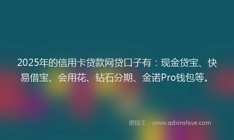 2025年的信用卡贷款网贷口子有：现金贷宝、快易借宝、会用花、钻石分期、金诺Pro钱包等。