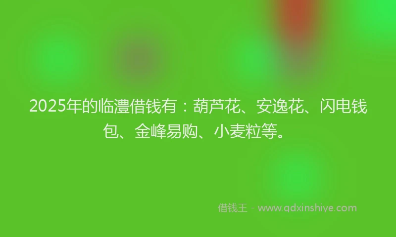 2025年的临澧借钱有：葫芦花、安逸花、闪电钱包、金峰易购、小麦粒等。