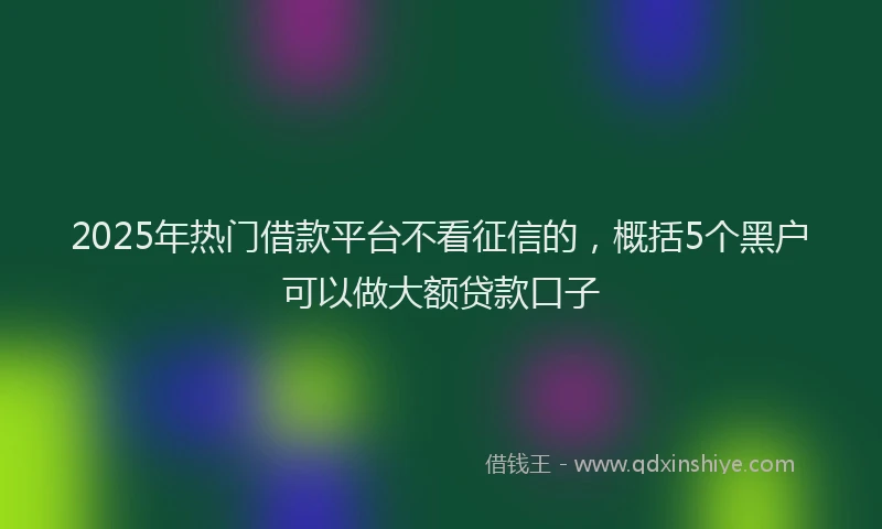 2025年热门借款平台不看征信的，概括5个黑户可以做大额贷款口子