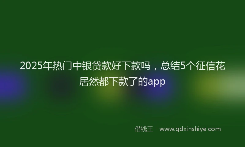 2025年热门中银贷款好下款吗，总结5个征信花居然都下款了的app